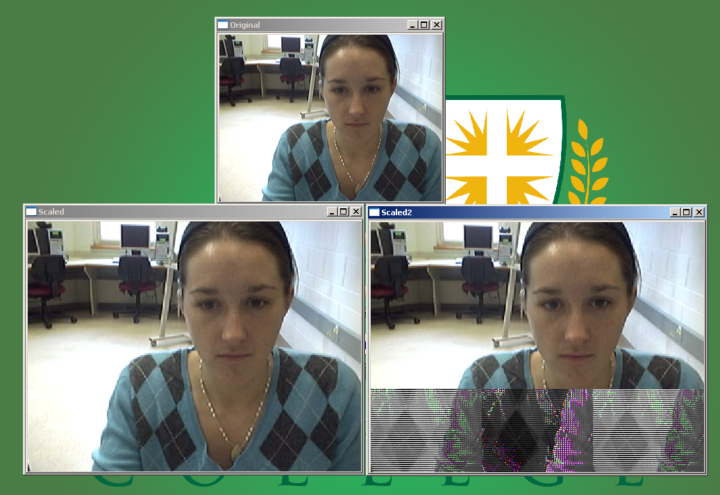 OpenCV Interface