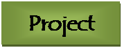  project