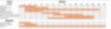 Project Timeline.JPG