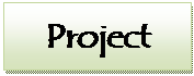  project