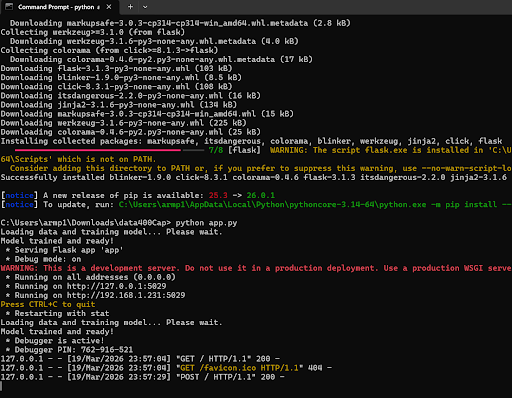 Python Virtual Environment Running